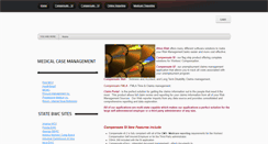 Desktop Screenshot of lsidata.net